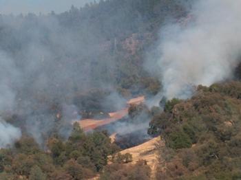 Oak Woodland Fires - UC Oaks