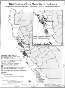 Distribution of Oak Mortality in Calif