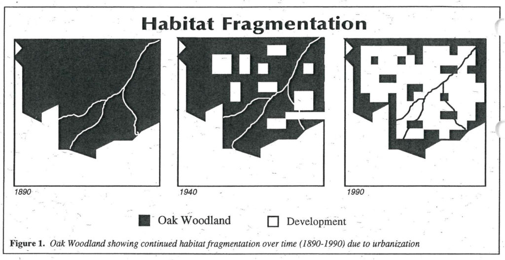 Figure 1. Oak Woodland showing continued habitat fragmentation over time (1890-1990) due to urbanization