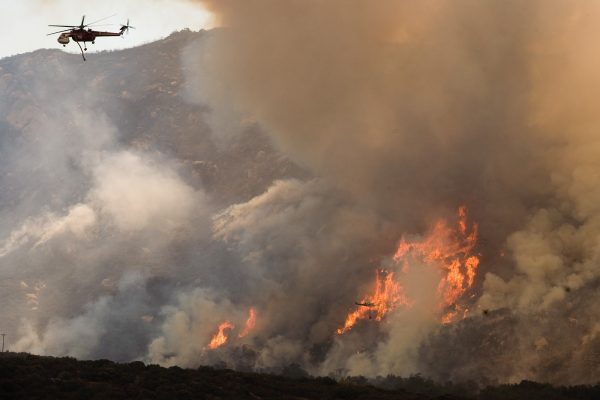 Oak Woodland Fires- Andrea Booher/FEMA